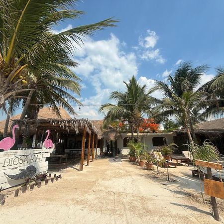 La Diosa Kali Beach Front Hotel Isla Holbox Exterior foto
