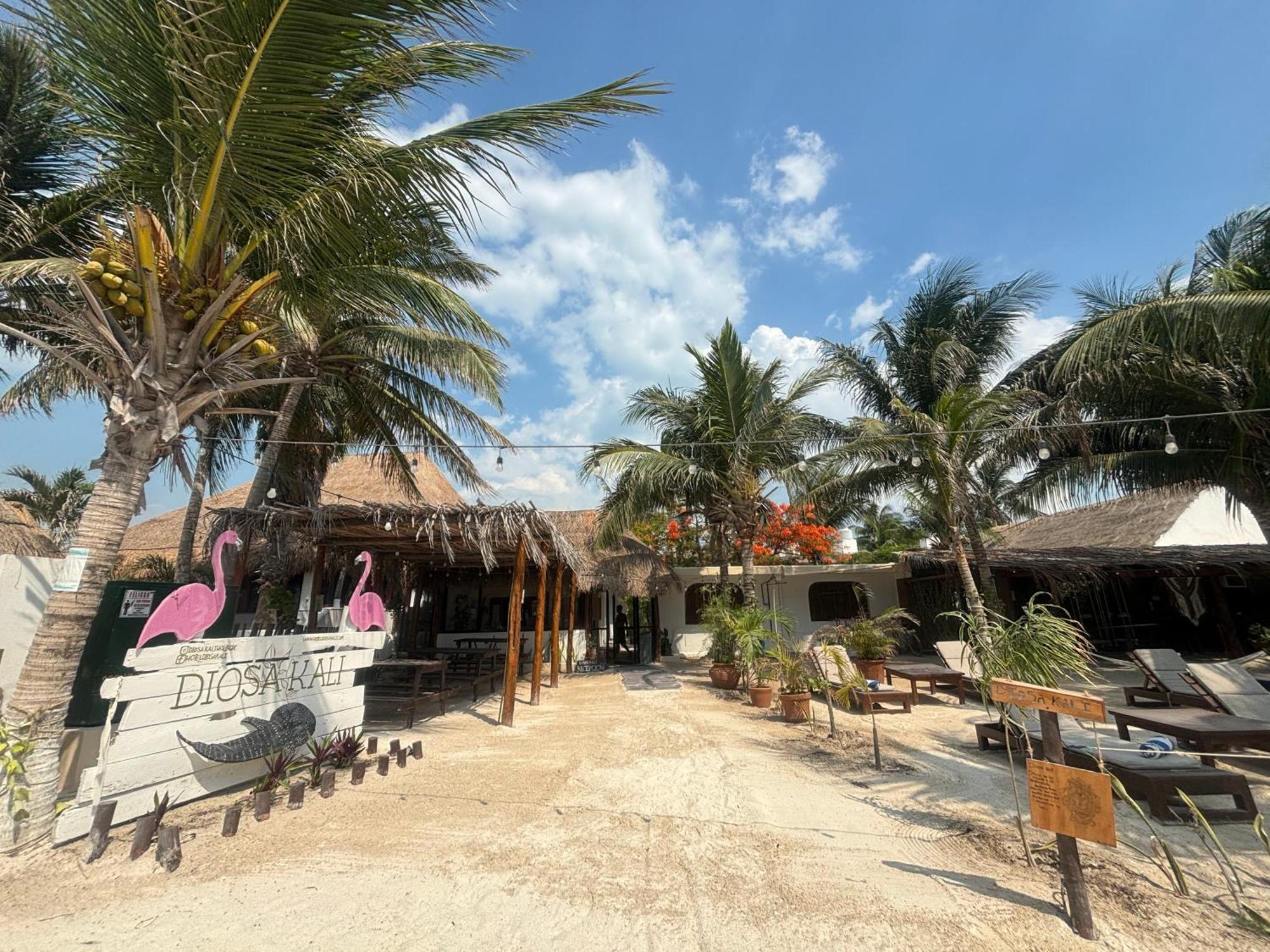 La Diosa Kali Beach Front Hotel Isla Holbox Exterior foto