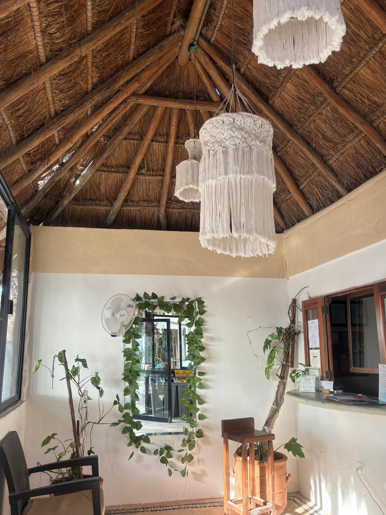 La Diosa Kali Beach Front Hotel Isla Holbox Exterior foto